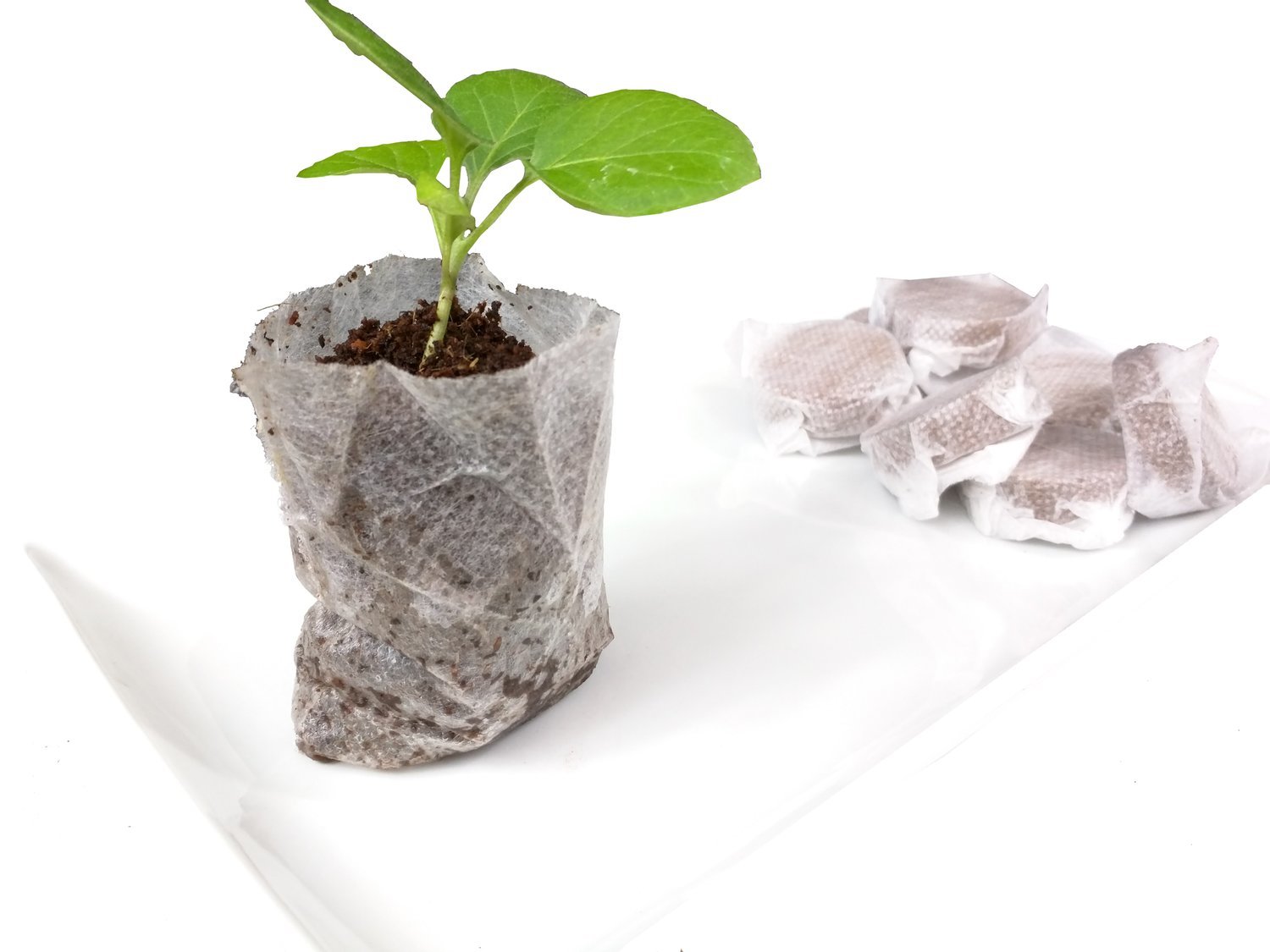 Seedling Starter Grow Coconut Coir Disks
