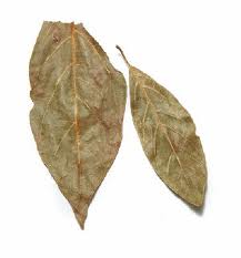 Avocado Leaves (5 oz)