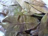 soursop leaves (10 lb)