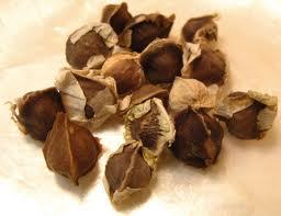 Moringa seeds - 100