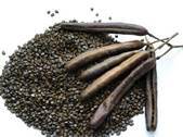 Dandelion Roots/Seeds/Leaves/-8OZ.