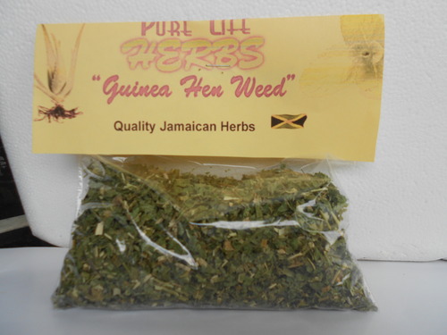 Guinea Hen weed Roots and Leaves (1 lb)