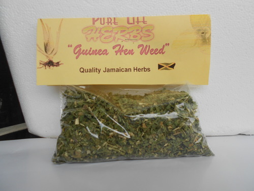 GUINEA HEN WEED LEAVES (8 OZ)