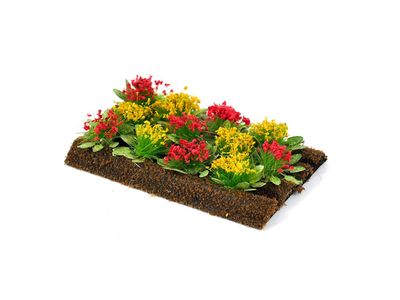 Flowers and Vegatables