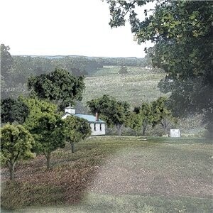 Woodland Scenics Ready Made Tree Packs