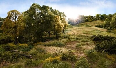 Woodland Scenics Field System