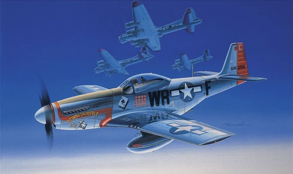 Academy 12485 USAAF P-51D Mustang Fighter Aircraft 1/72 Scale Plastic Model Kit