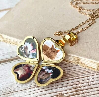 4 Layer Heart Locket Necklace