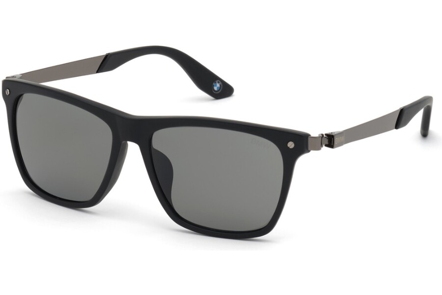 BMW Sunglasses BW0002-H 02D 55