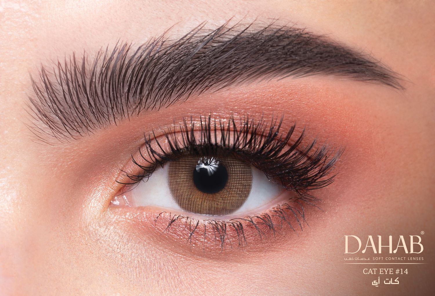 Cat Eye #14