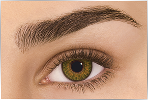 Pure Hazel