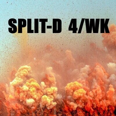 Split-D - 4 séances / semaine