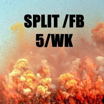 Split/FB - 5 séances / semaine