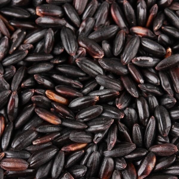 Riz noir d&#39;Italie