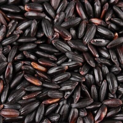 Riz noir d&#39;Italie
