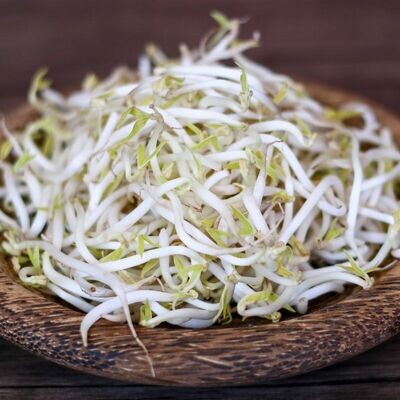 Haricots verts bio Mungo