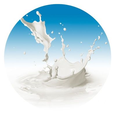 Lait et Lactosérum en poudre