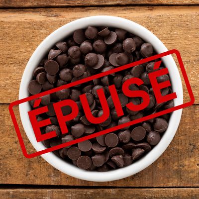 Cacao maigre et protéiné