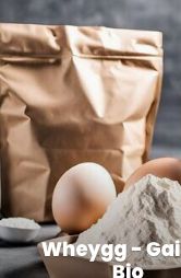 Wheygg - Gainer Bio