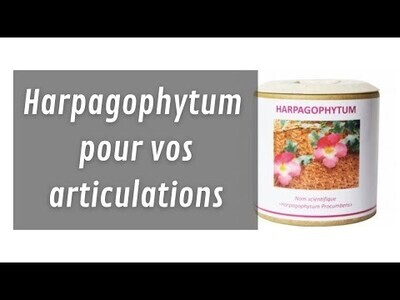 Harpagophytum