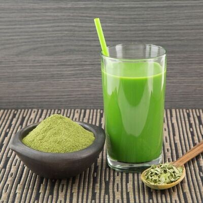 Moringa (shigru) biologique en poudre