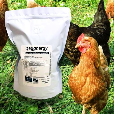 Oeuf entier bio en poudre: 1200 g (France) Code 0
