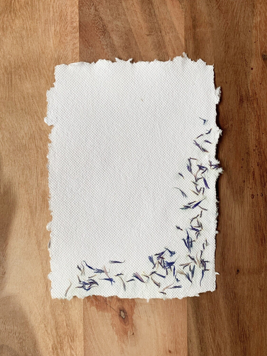 A5 Blütenpapier – Kornblume