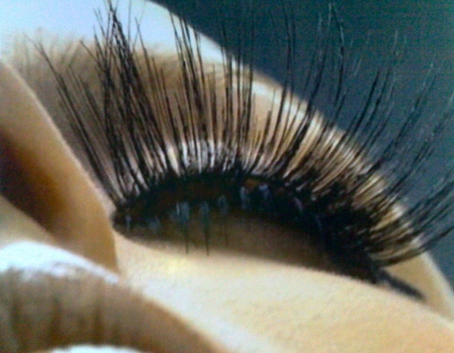 Catwalk Eyelash Extension Fills