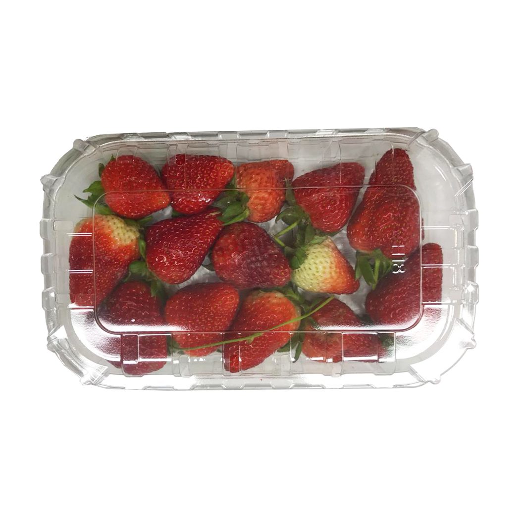 Strawberry Box