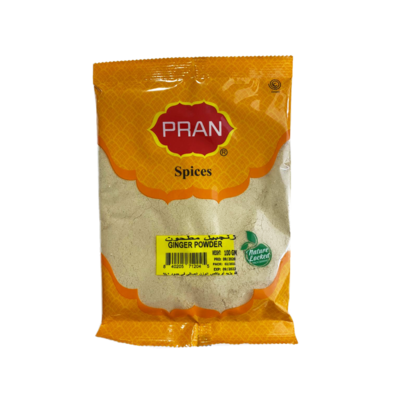 Pran Spices Ginger Powder 100g