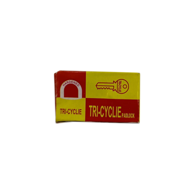 Padlock Medium size 25mm