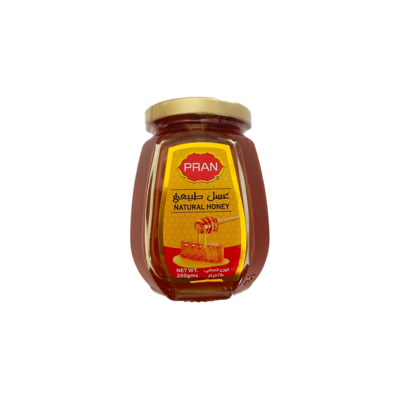 Pran Natural Honey 250g