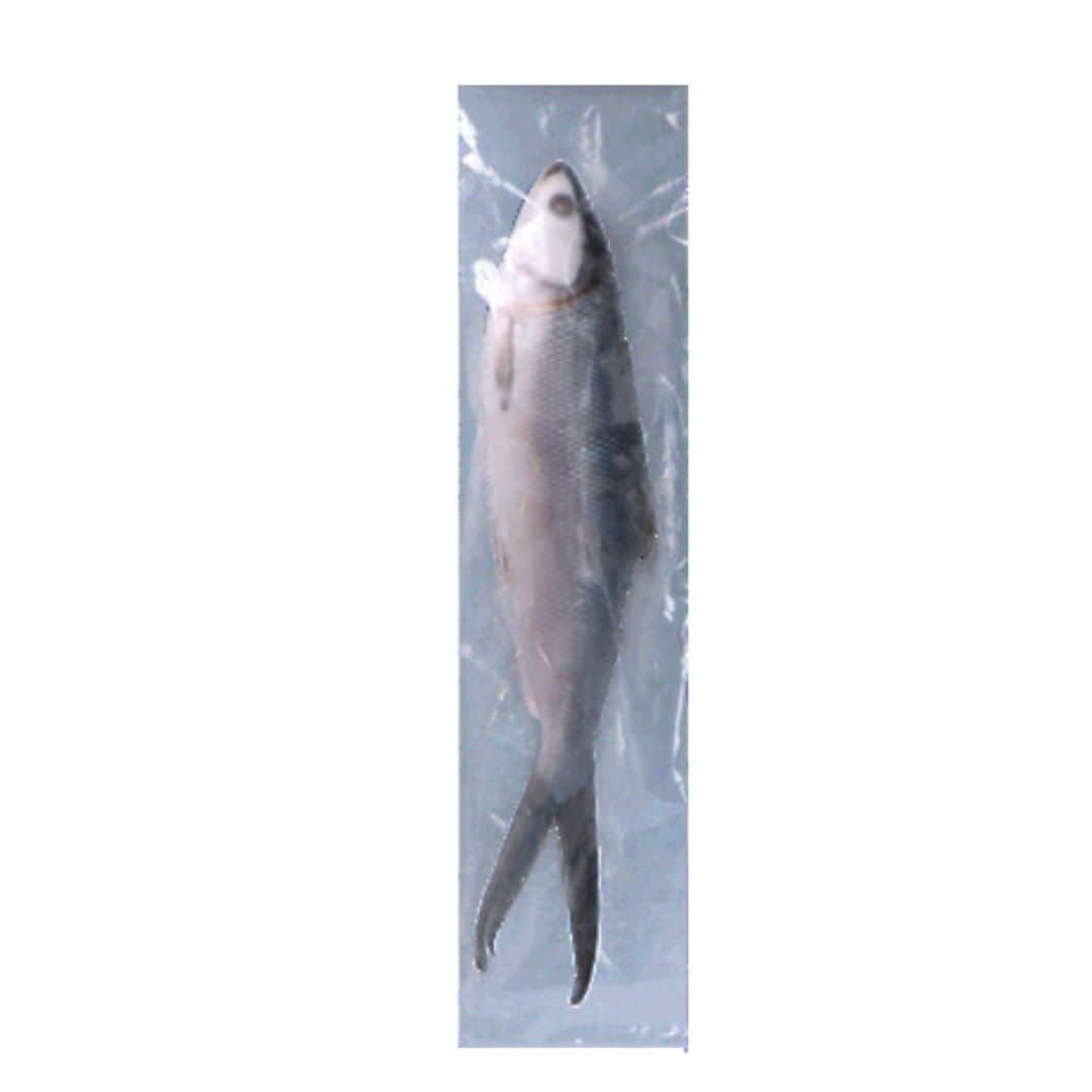 Bangus whole (we sell per kg)