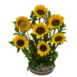 Sunflower Flower Set