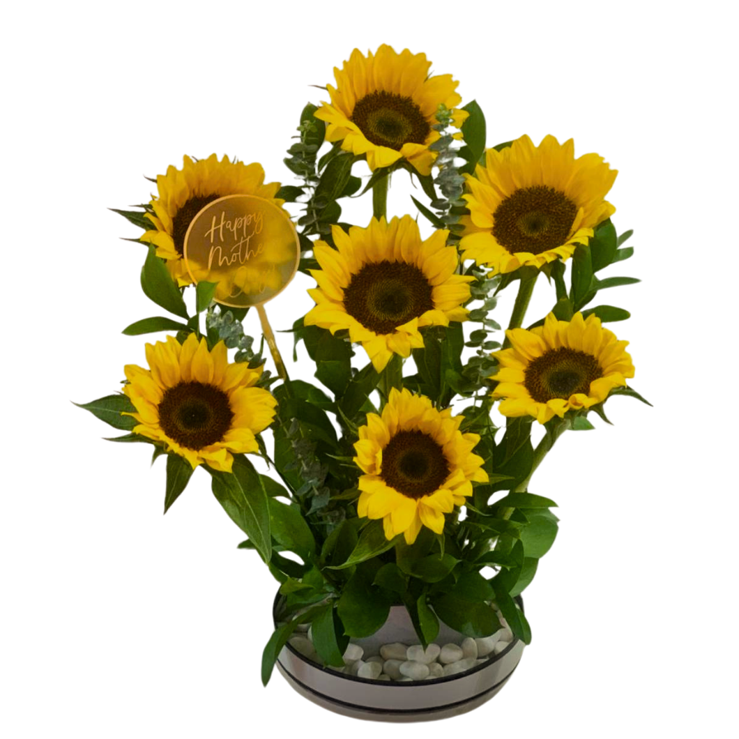 Sunflower Flower Set
