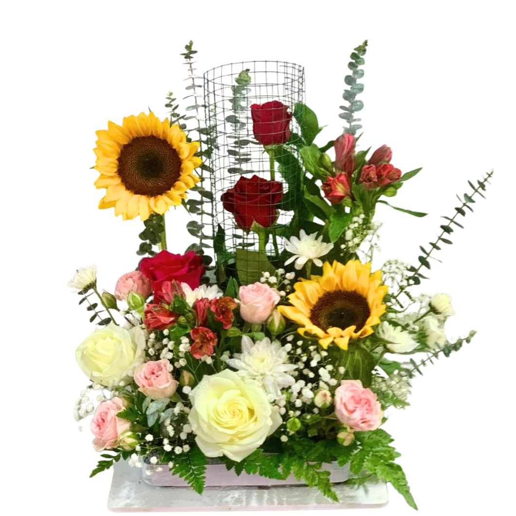 Sunflower Flower Set 2