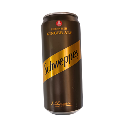 Schweppes Ginger Ale Premium Mixer 300ml