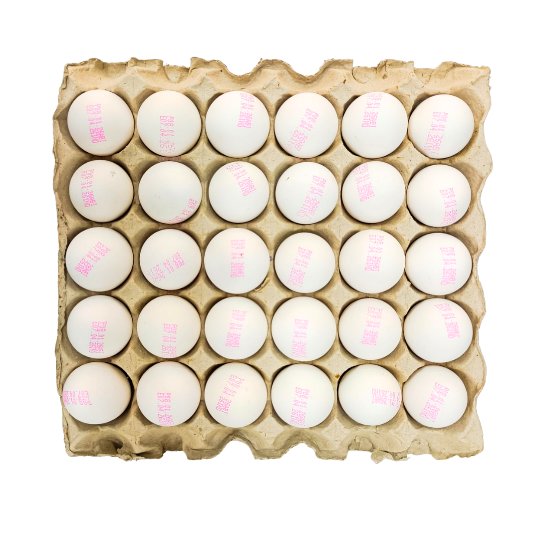 Abi Eggs Tray