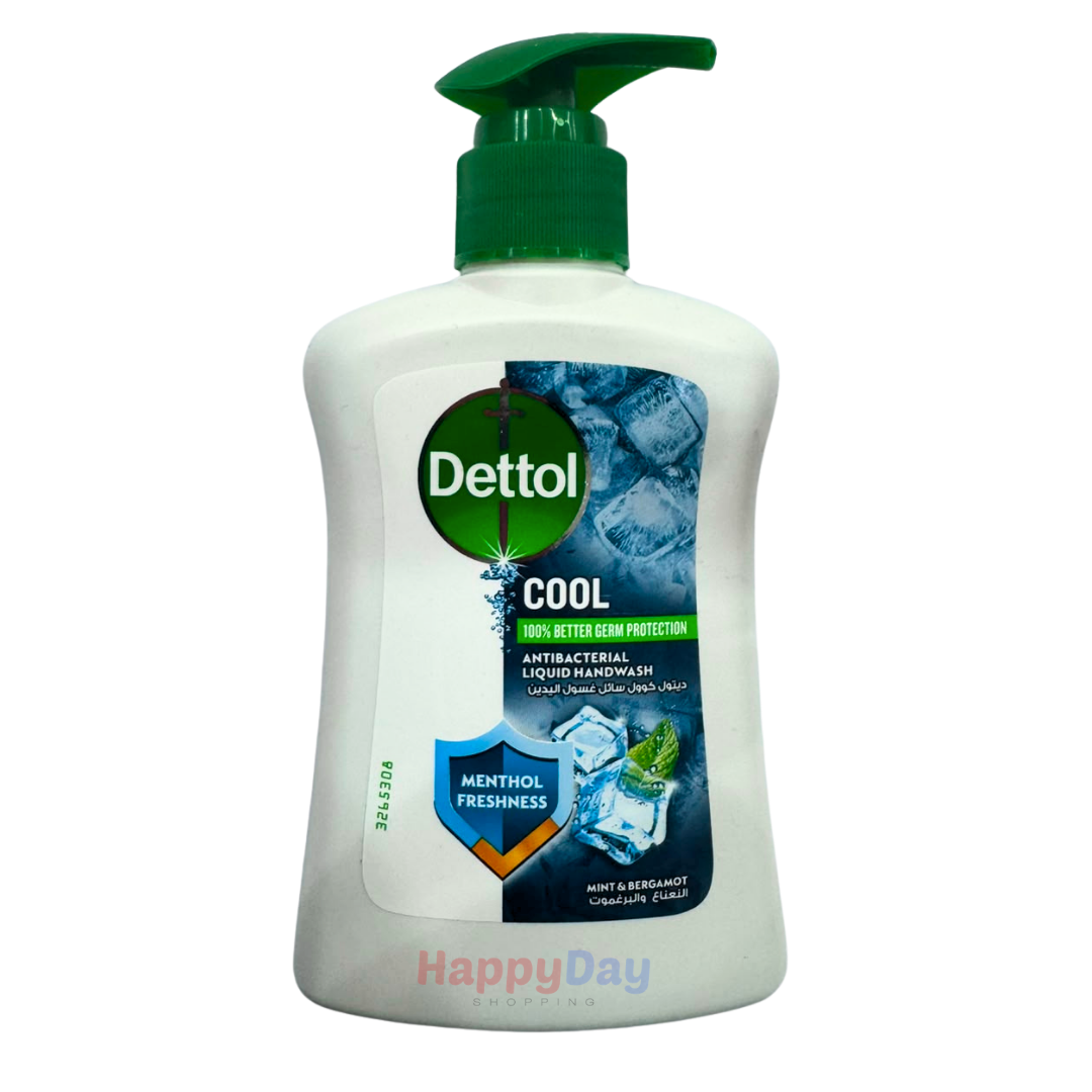 Dettol Cool Menthol Freshness Liquid Handwash