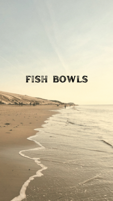 Fish Bowls