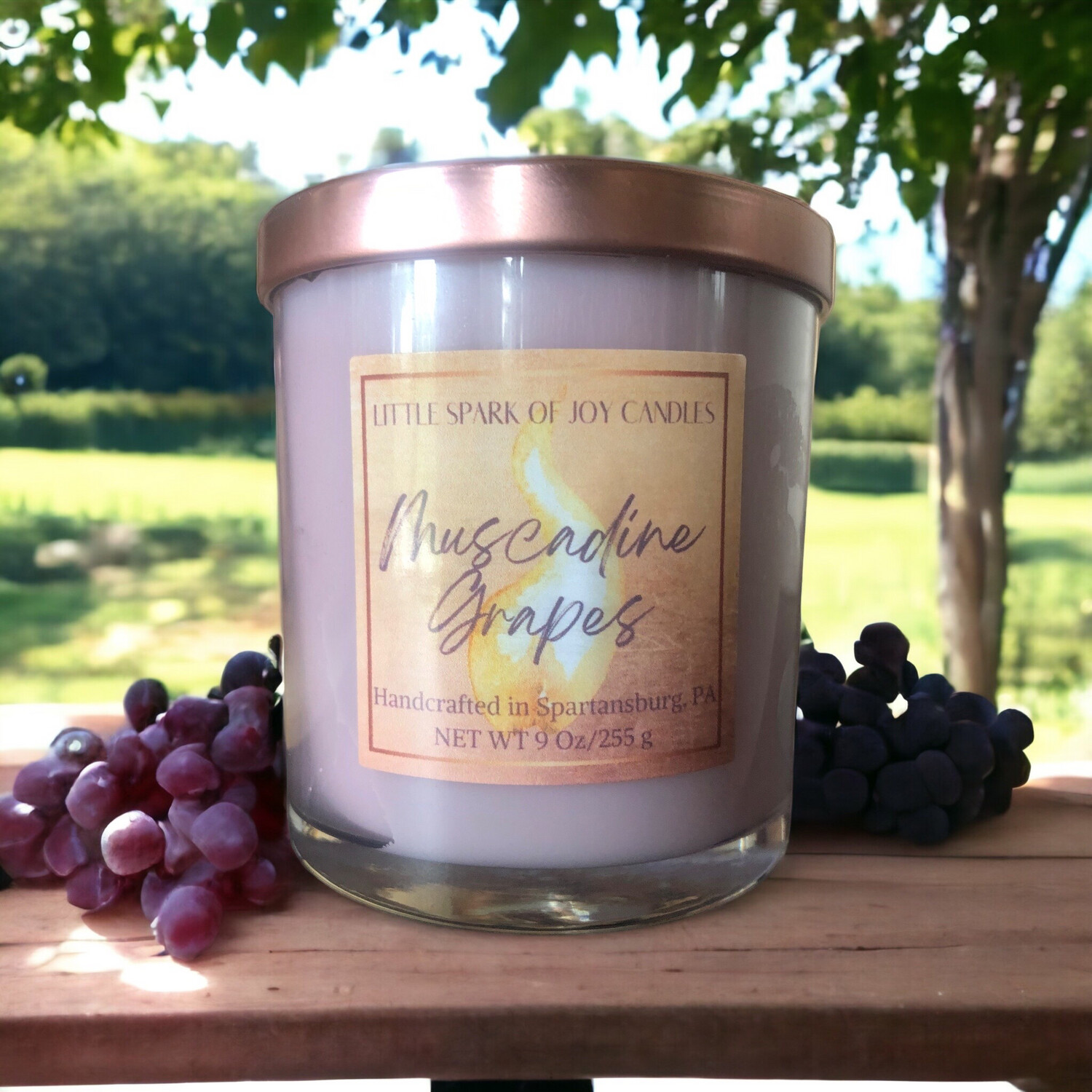 Muscadine Grapes