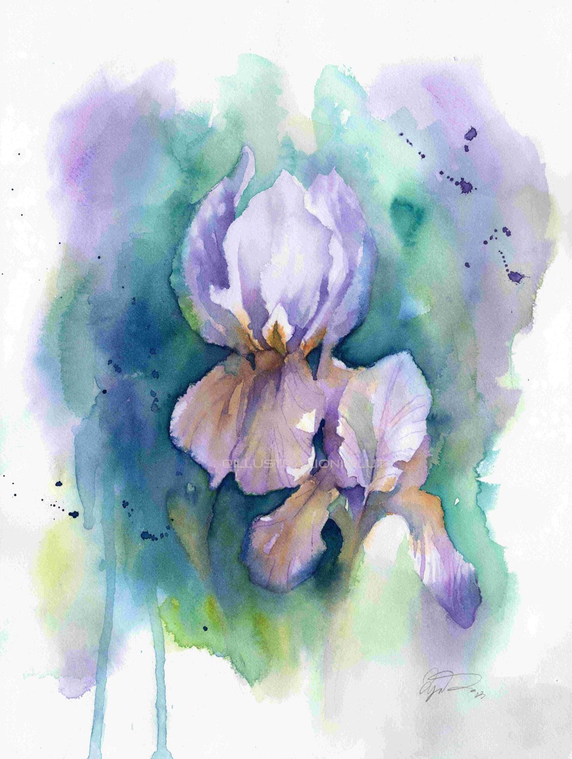 Iris Art Print