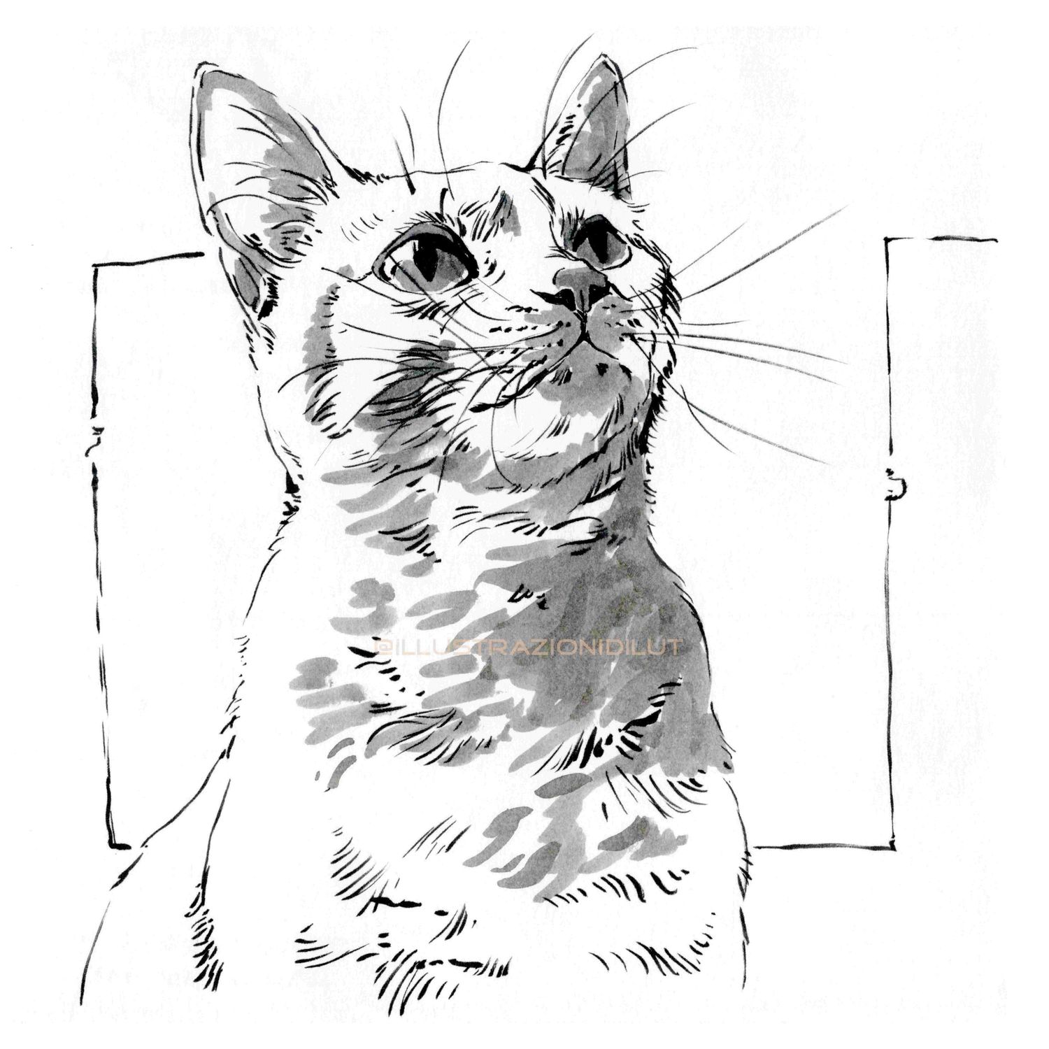 Cats Bundle Art Prints