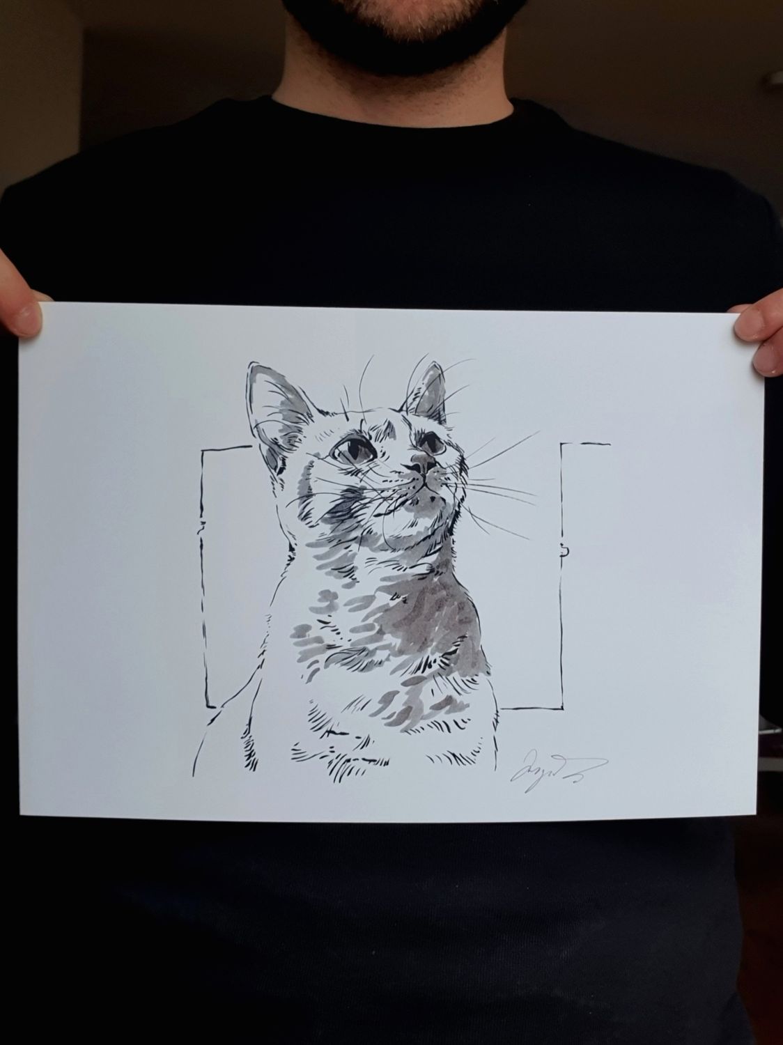 Cats Bundle Art Prints