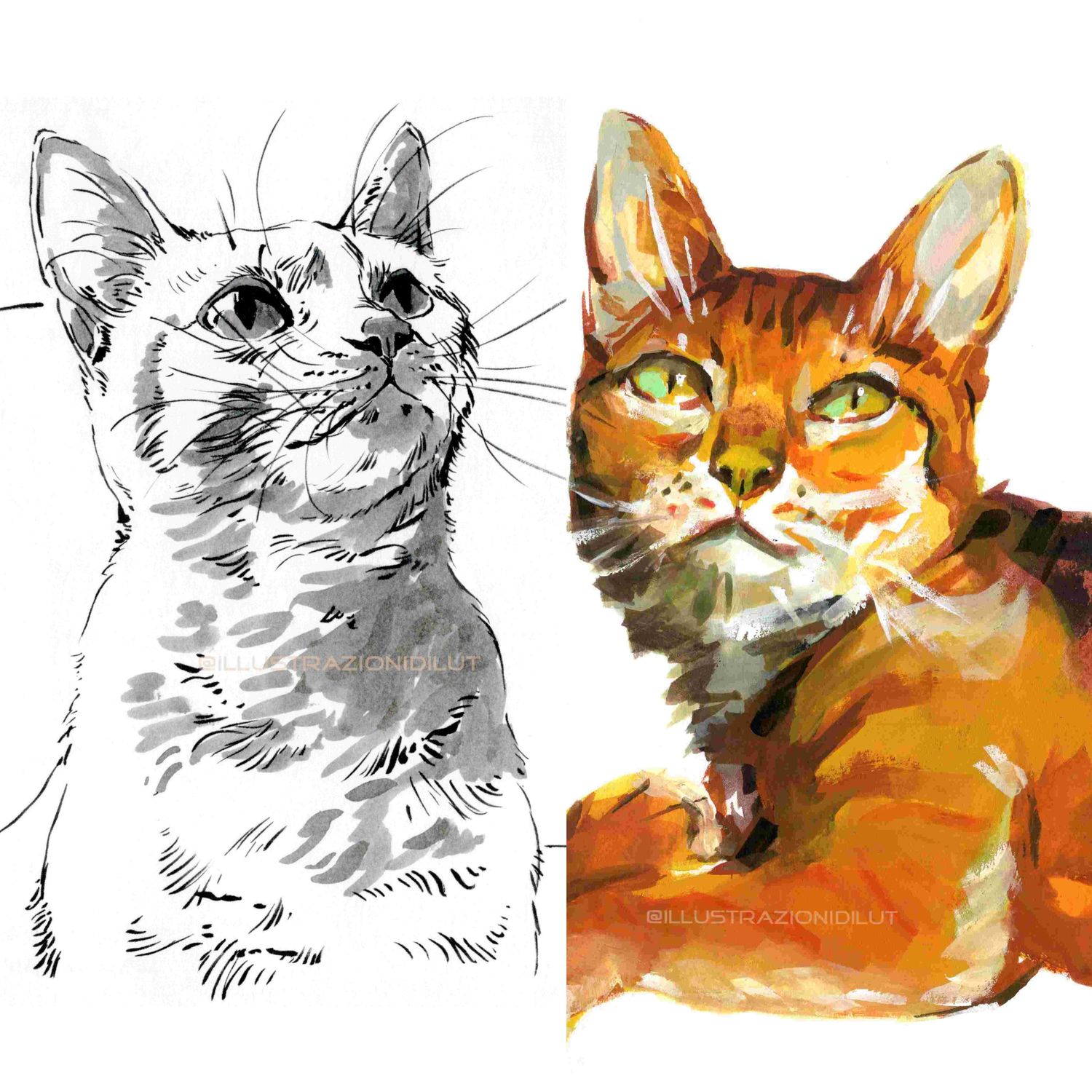 Cats Bundle Art Prints