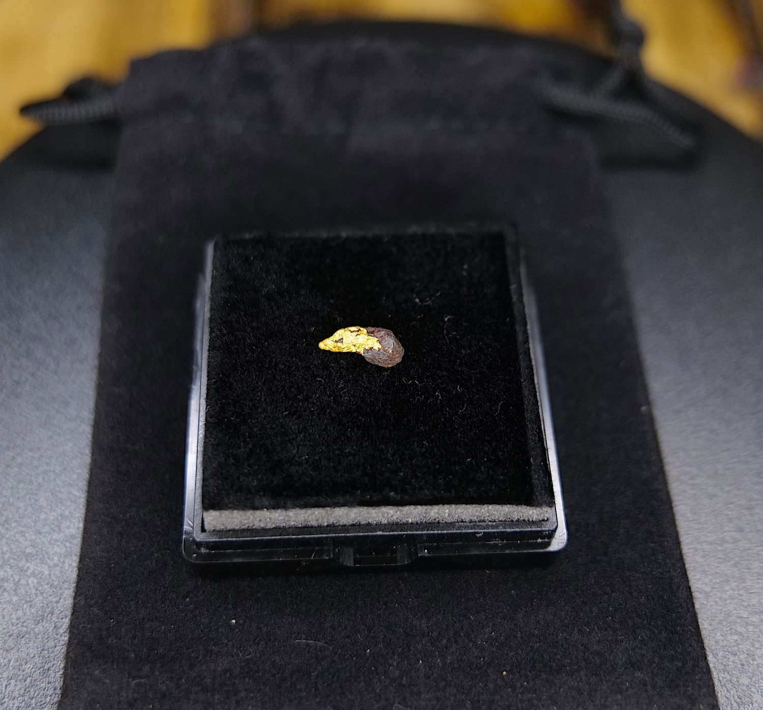 .55 Gram West Australian Gold Nugget - Emu Claw