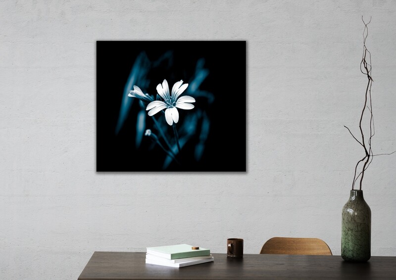 Fleur du Mal
