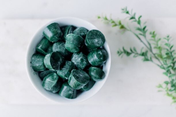 Frozen Spirulina Cubes (300 gr.)