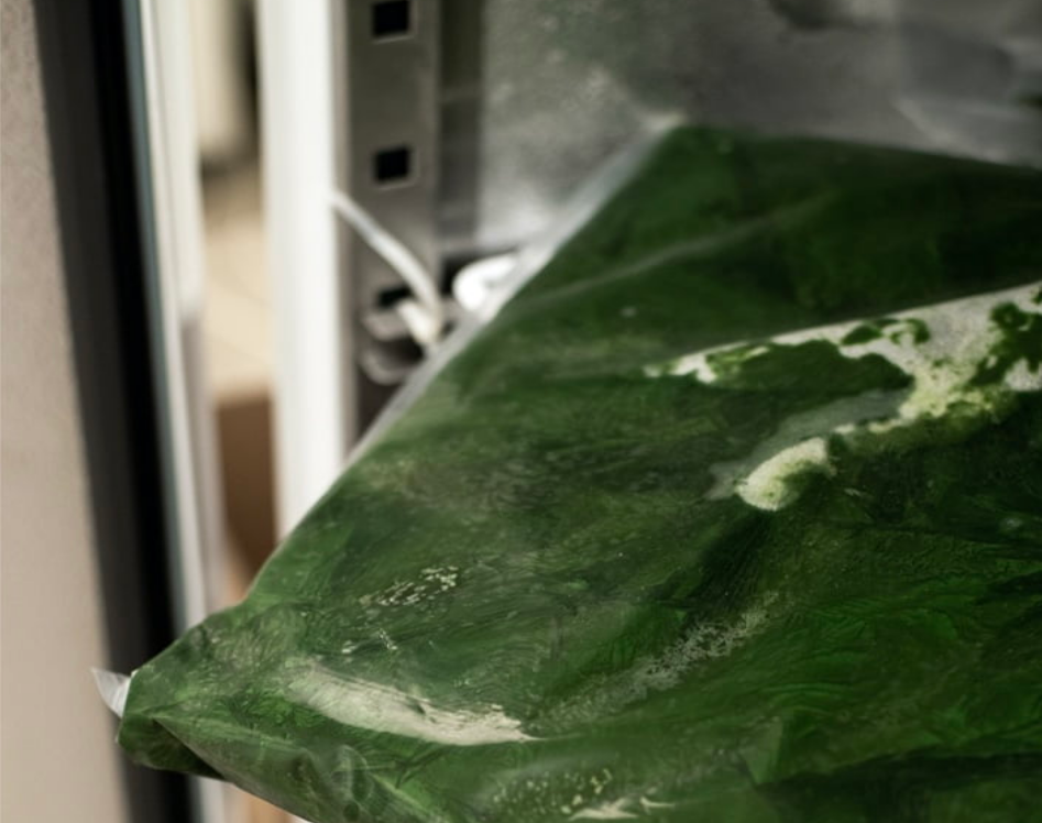 B2B Spirulina