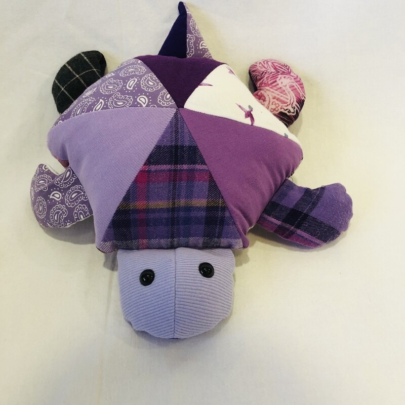 Memory Turtle